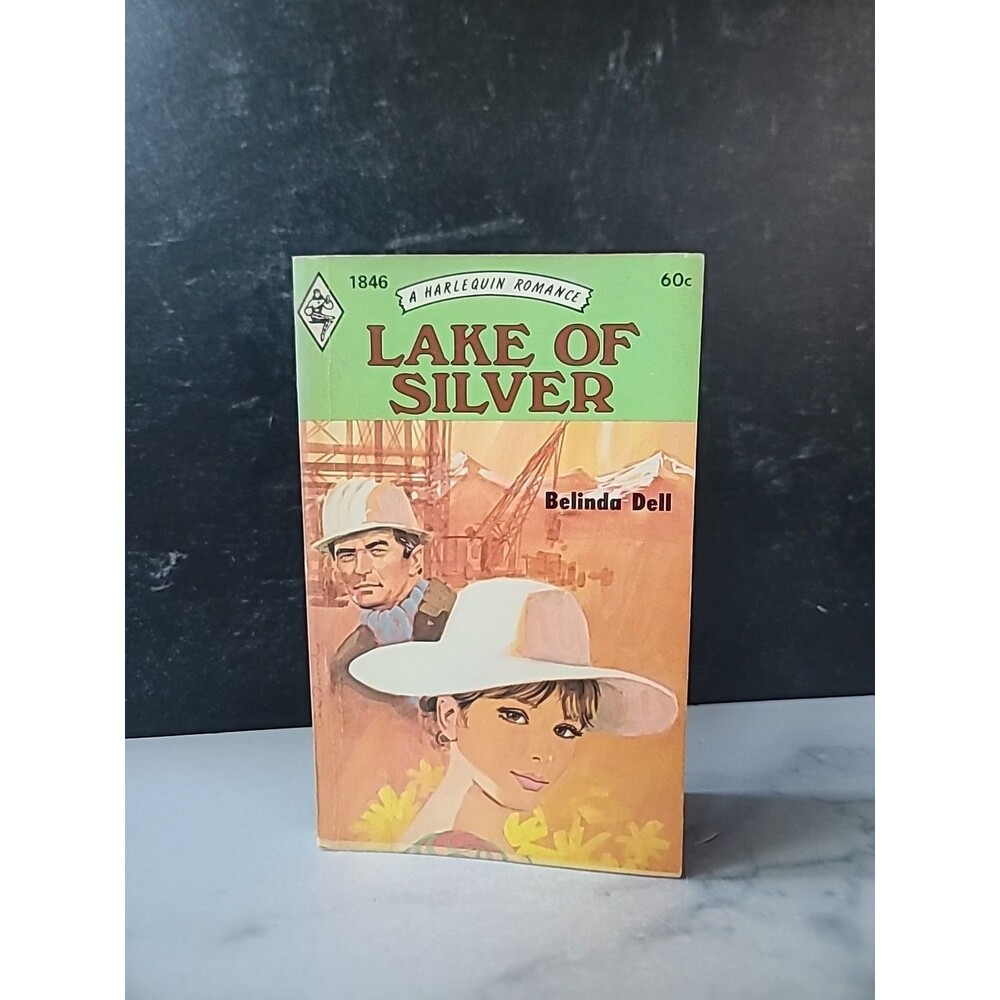 Lake Of Silver By Belinda Dell Paperback